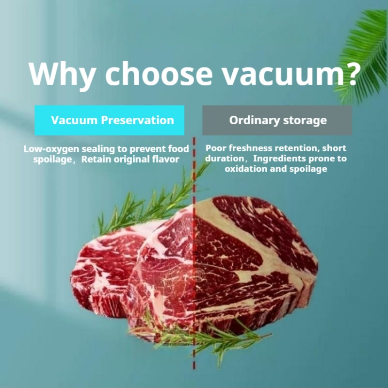 테이블탑 챔버 진공 포장기 상업용 디지털 진공 포장기  - Food Vacuum Sealer Machine 리뷰 및 가격