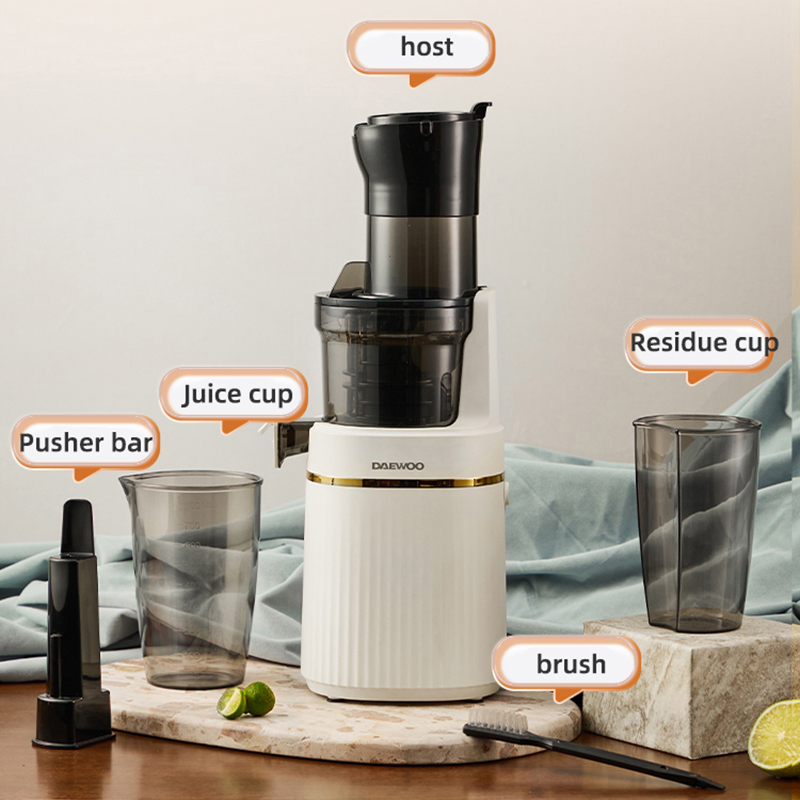 휴대용 블렌더 전기 슬로우 주서기 - 과일 채소 감귤류 - Electric Slow Juicer Cold Press 리뷰 및 가격